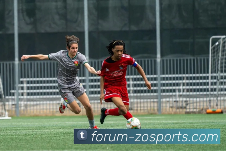 中欧体育APP 封面图